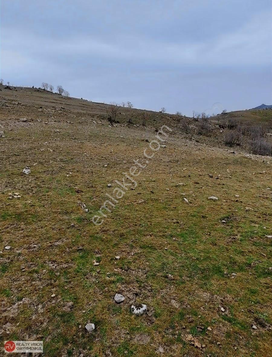 Havran Çakmakta %5 İmarlı-çift Yol Cepheli Yatırımlık Arazi - Görsel 6