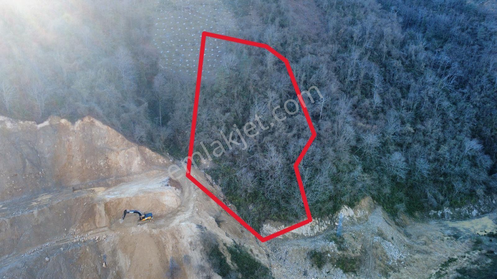 Trabzon Sürmene'de Satılık Arazi - Görsel 5