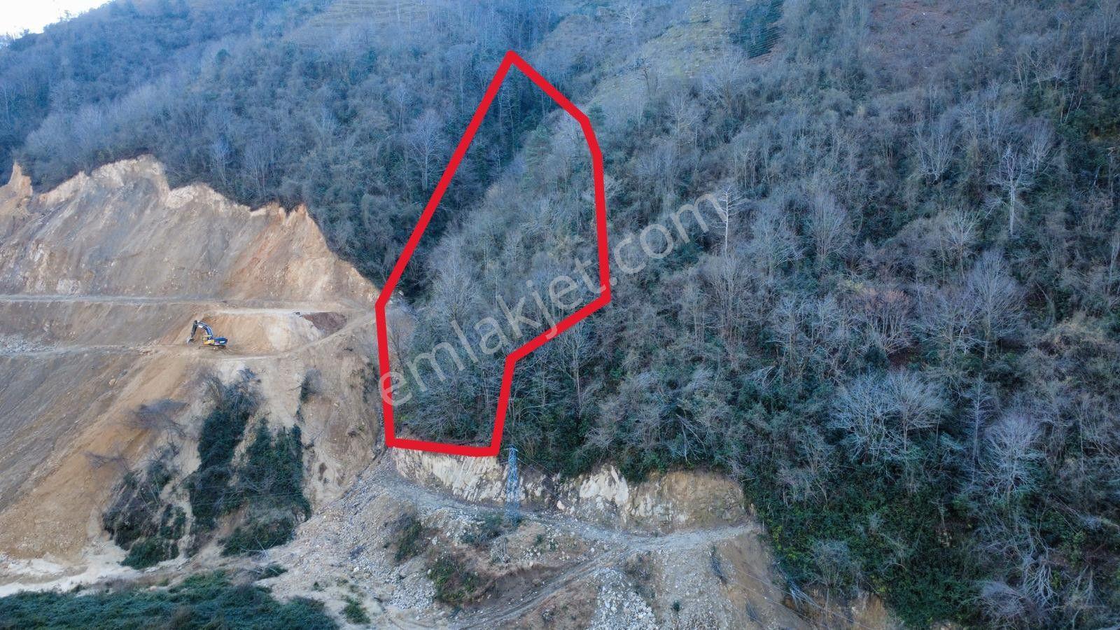 Trabzon Sürmene'de Satılık Arazi - Görsel 8