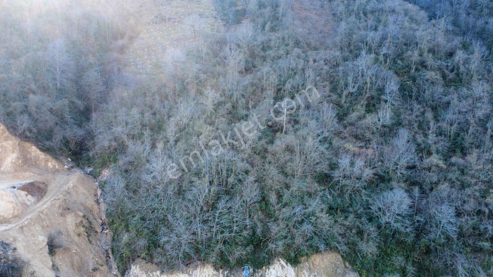 Trabzon Sürmene'de Satılık Arazi - Görsel 7