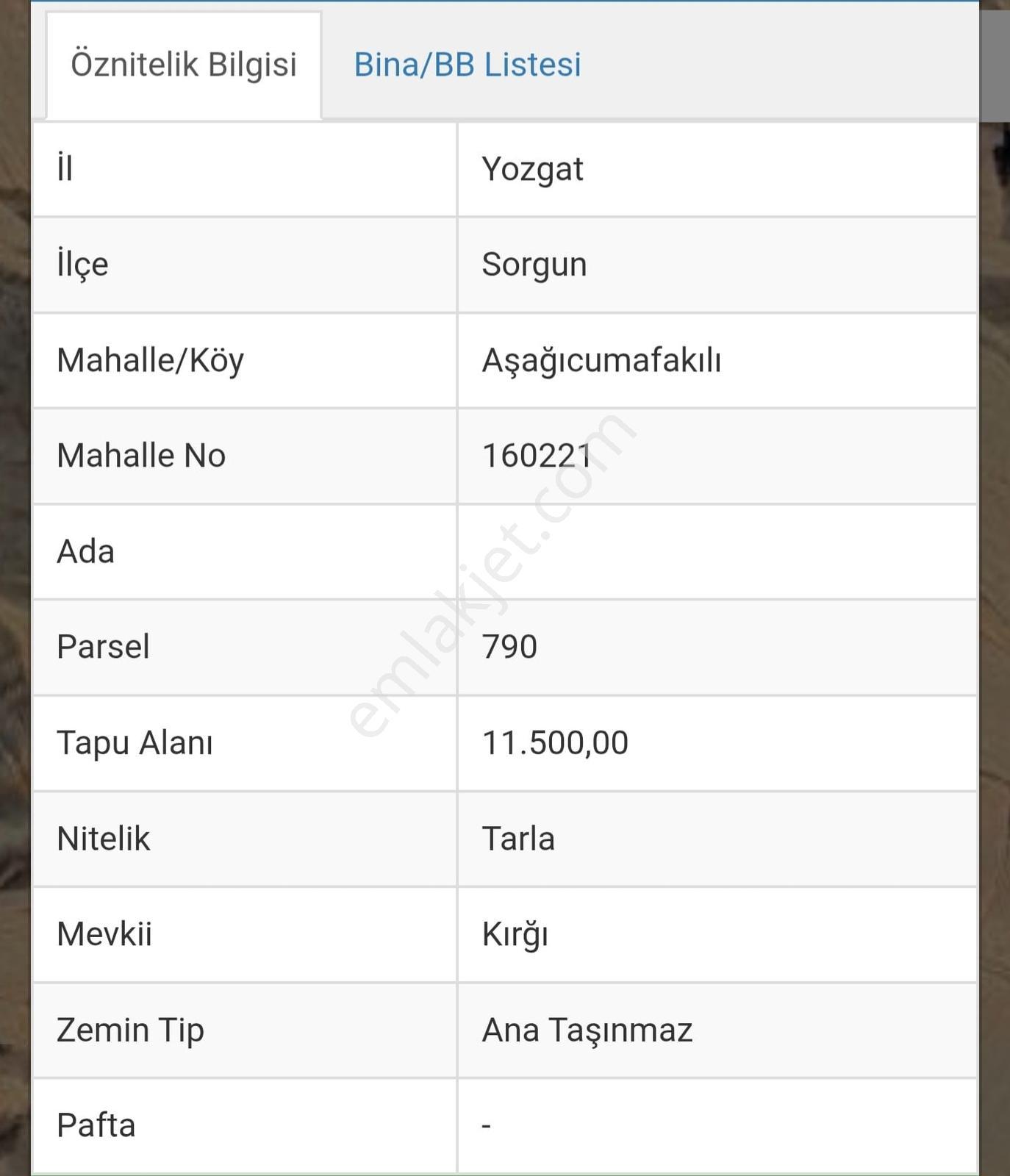 Msyapı Emlaktan Yatırımlık Tarla - Görsel 2