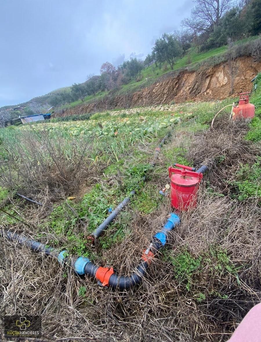Kiraz Gedik Mh. Fırsaaatttttt Satılık Zeytin+incir+mahsul Bahçe - Görsel 2