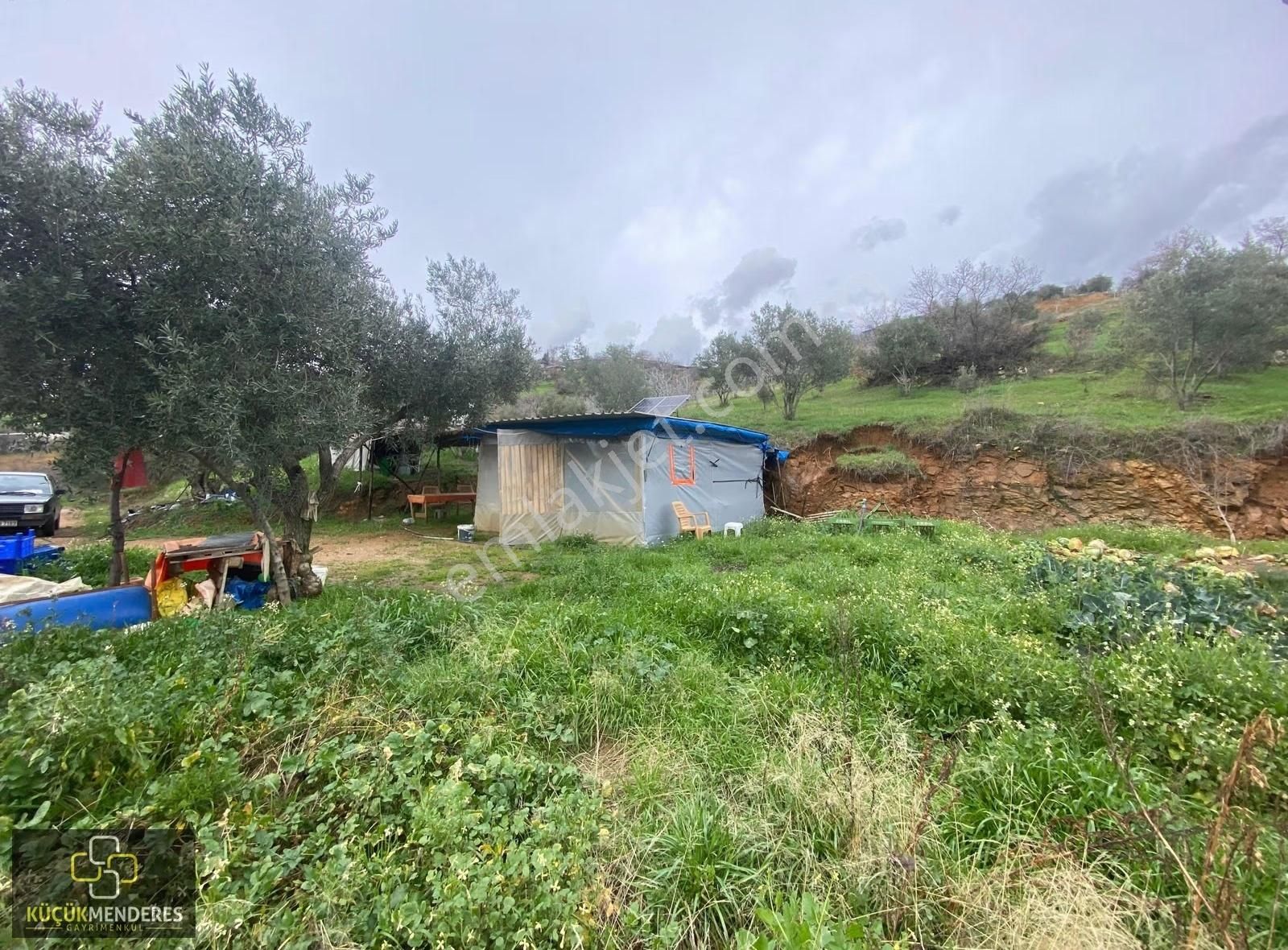 Kiraz Gedik Mh. Fırsaaatttttt Satılık Zeytin+incir+mahsul Bahçe - Görsel 5