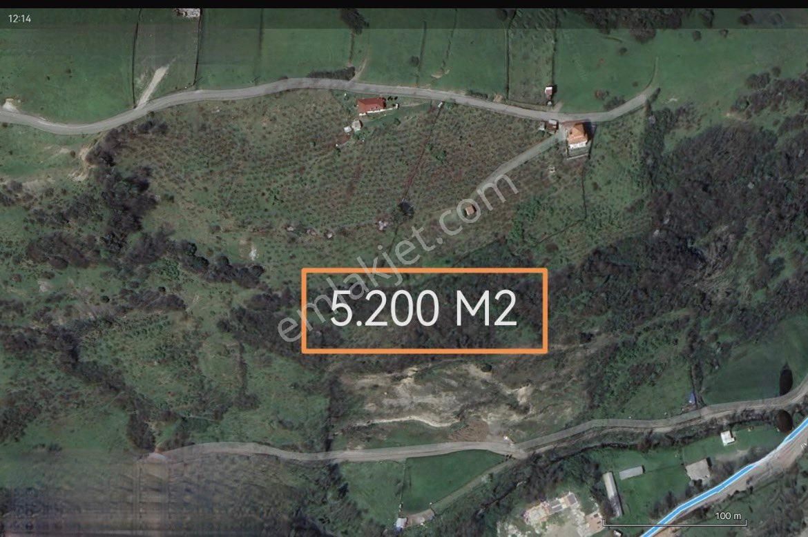 Samsun Tekkeköyantyerinde Satılık Tarla