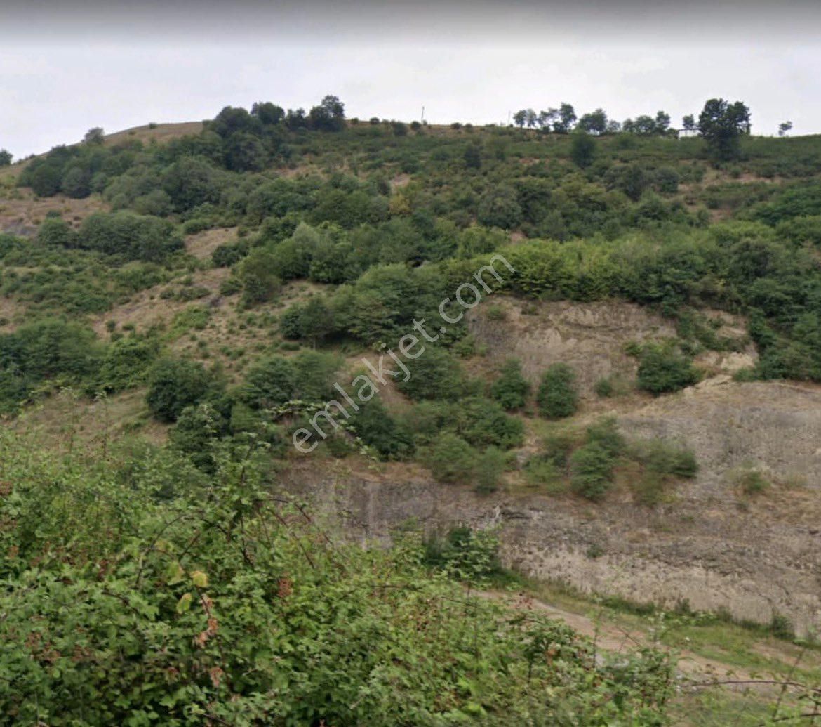 Samsun Tekkeköyantyerinde Satılık Tarla - Görsel 5