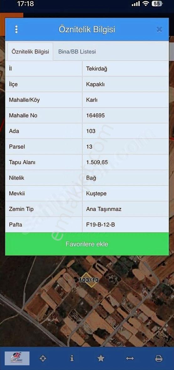 Kapaklı Da Müstakil Tapulu Bağ Yeri - Görsel 5