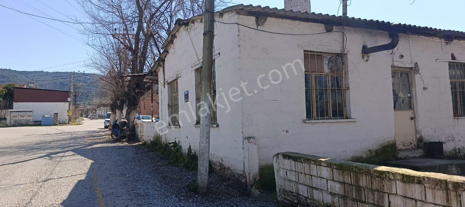 Acarlar Emlaktan Yazırlı'da 316 M2 Satılık Müstakil Kahve-işyeri - Görsel 8