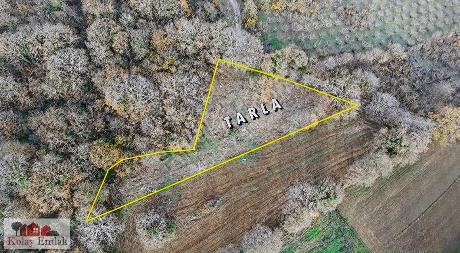 Kandıra Kızılcapınarda Turizm İmarlı 2232 M2 Satılık Tarla - Görsel 6
