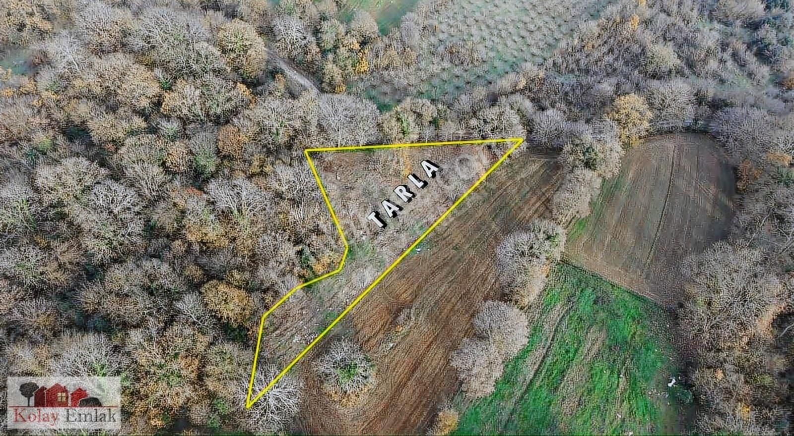 Kandıra Kızılcapınarda Turizm İmarlı 2232 M2 Satılık Tarla - Görsel 4