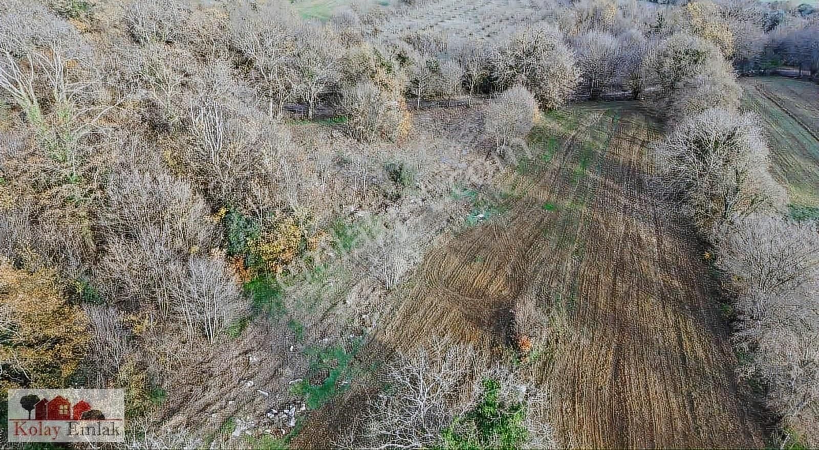 Kandıra Kızılcapınarda Turizm İmarlı 2232 M2 Satılık Tarla