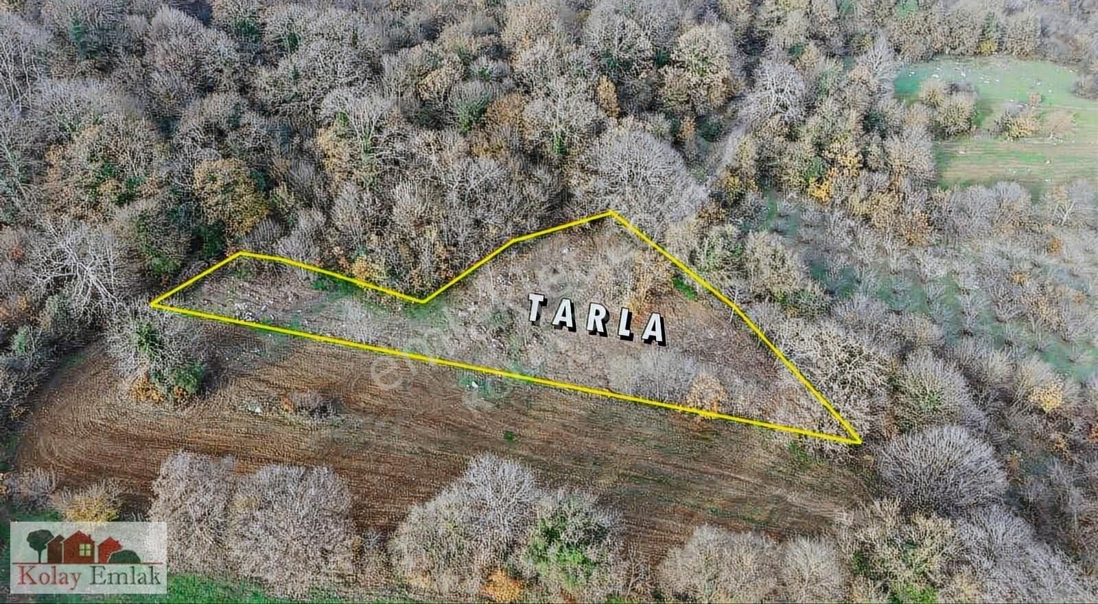 Kandıra Kızılcapınarda Turizm İmarlı 2232 M2 Satılık Tarla - Görsel 10