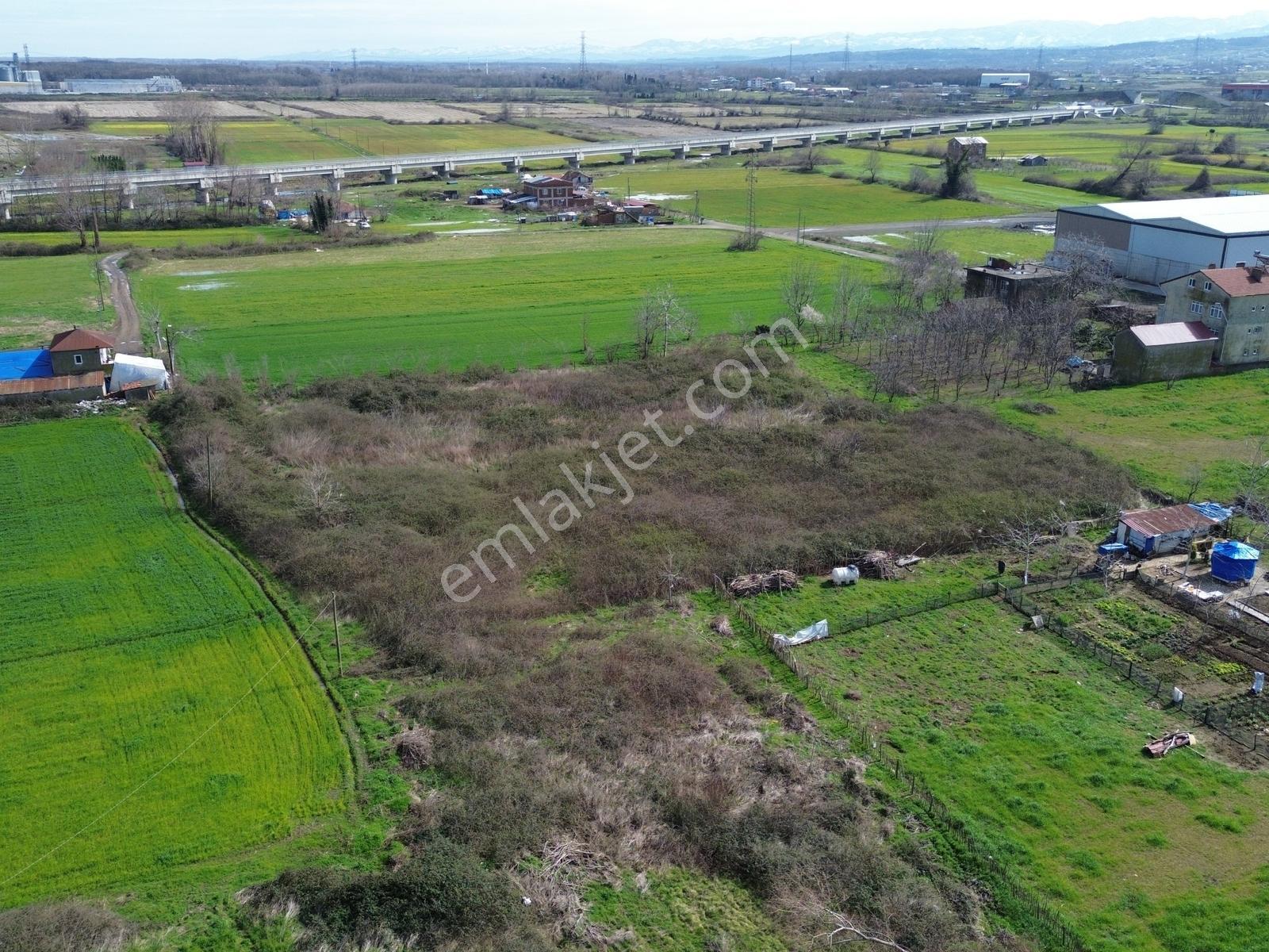 Yağmur Emlak'tan Satılık Devlet Hastanesine Yakın 2816 M² Arsa - Görsel 5