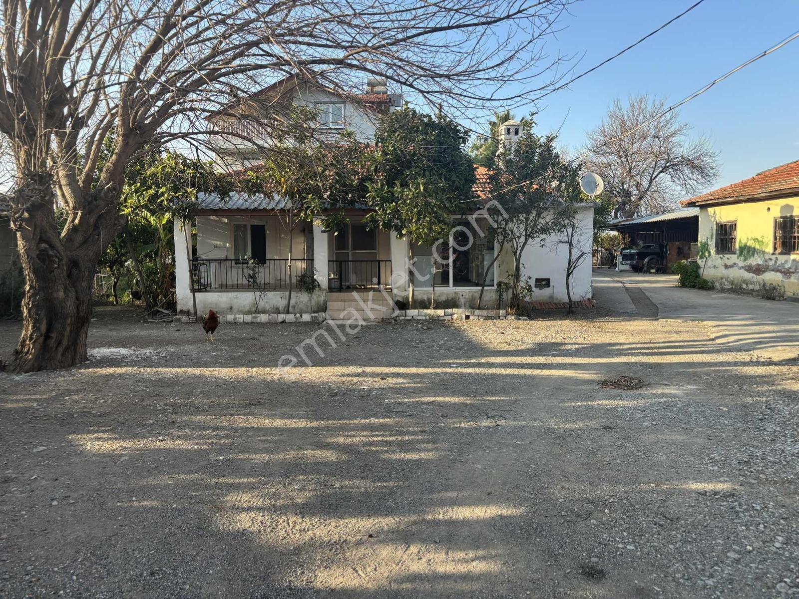 Nysa Emlak 'tan Çevre Yoluna Cephe Satılık Köy Evi