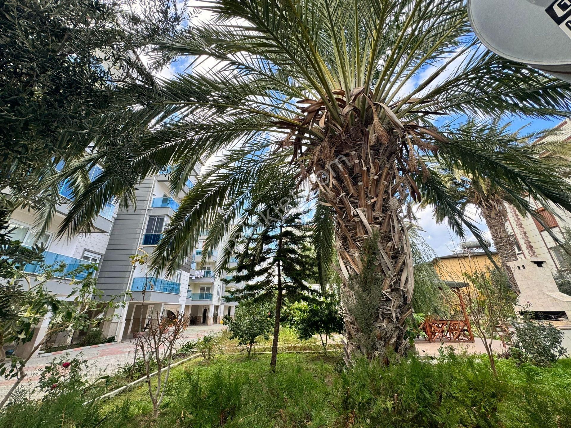Anamur Güzelyurt Mahallesi Sencer Giray Sitesinde Satılık Ve Kiralık 2+1, 3+1 Daireler - Görsel 7