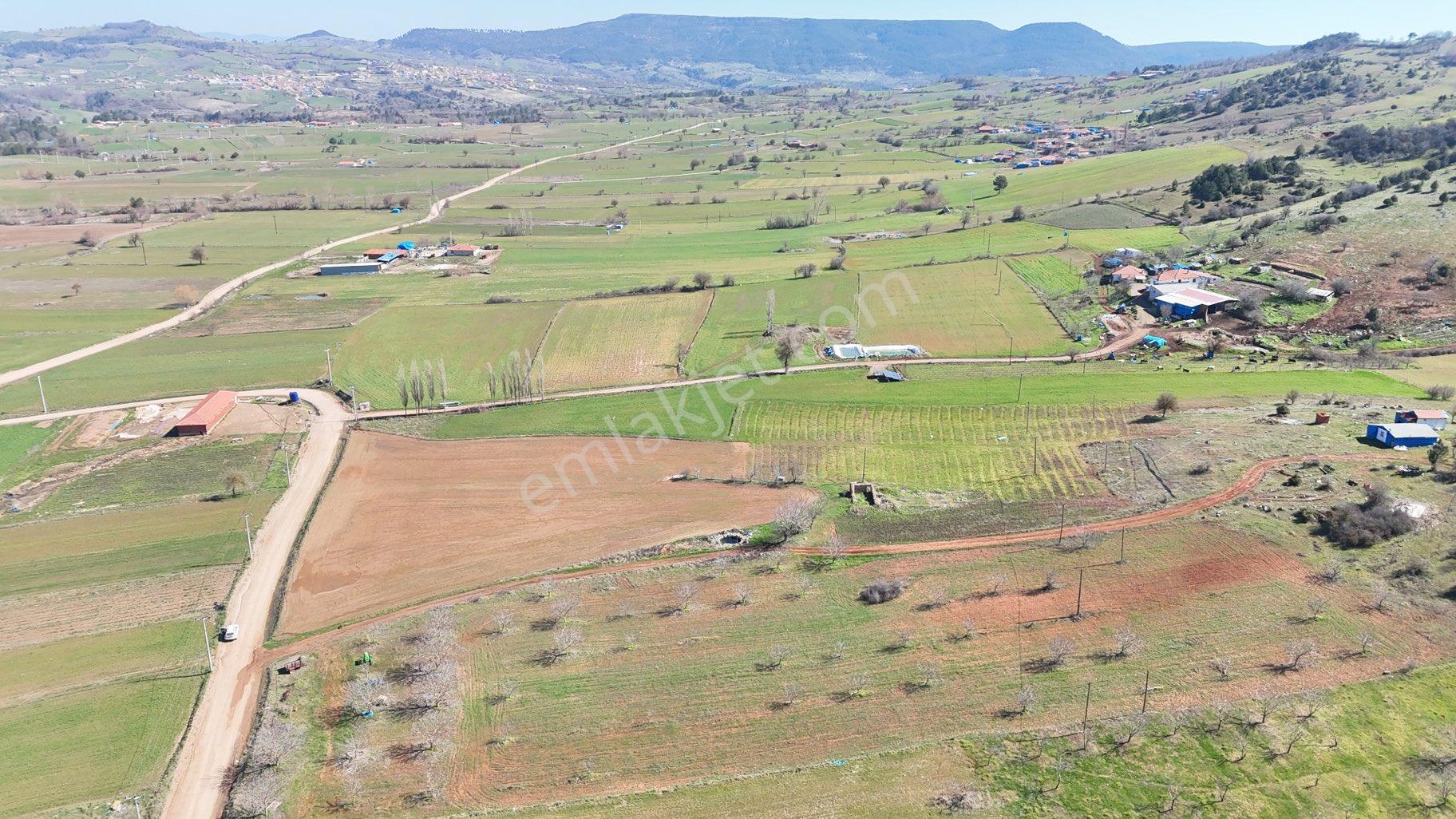 Sındırgı Yüreğil Mah Satılık Fırsat Arsa 10.170 M2 - Görsel 11