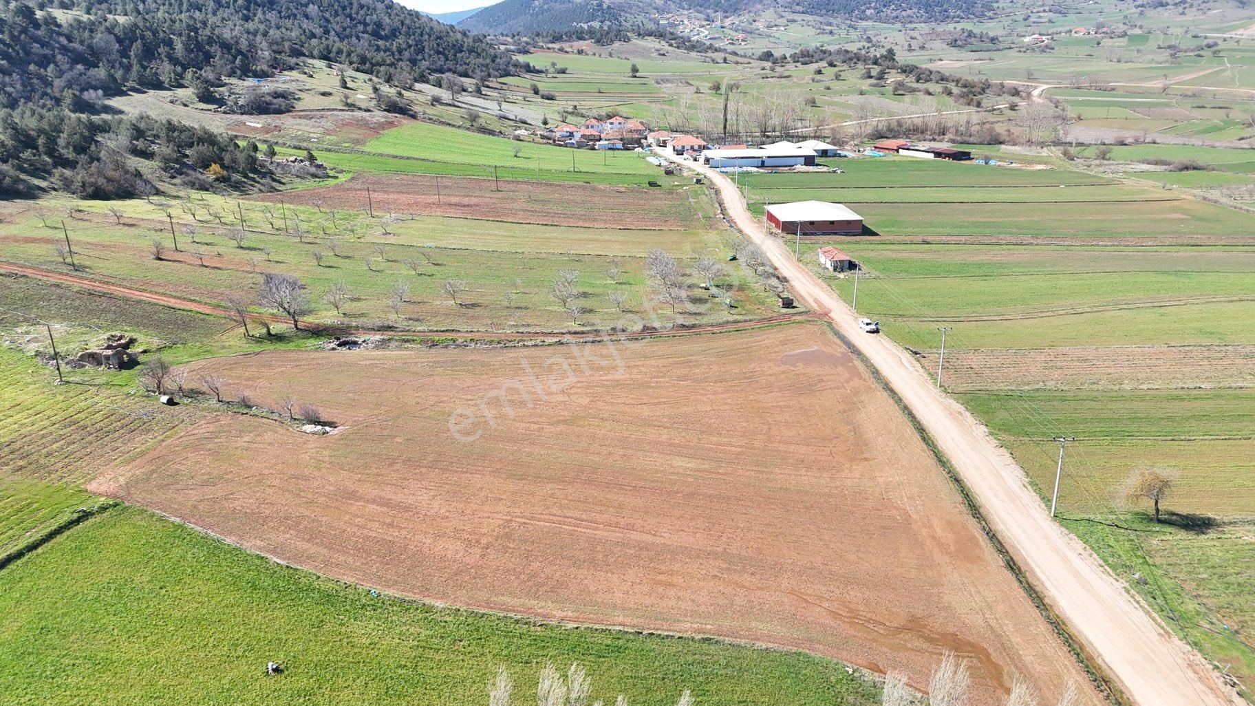 Sındırgı Yüreğil Mah Satılık Fırsat Arsa 10.170 M2 - Görsel 5