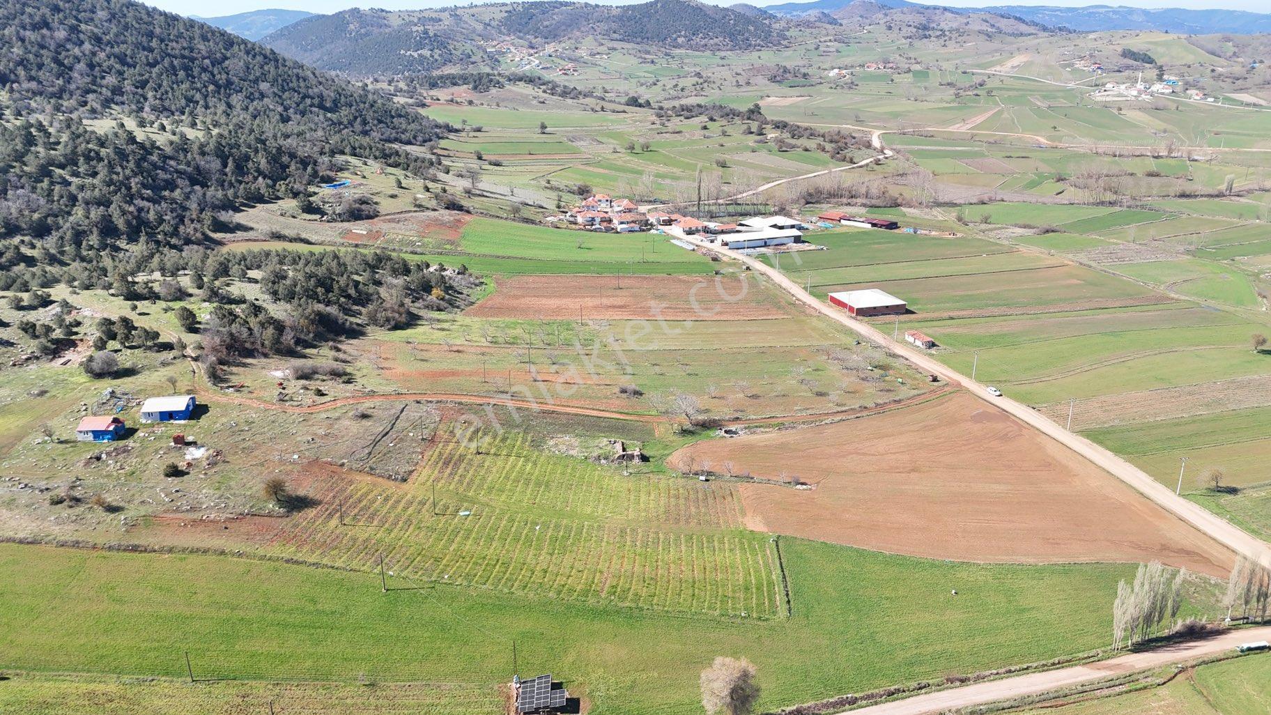 Sındırgı Yüreğil Mah Satılık Fırsat Arsa 10.170 M2 - Görsel 10