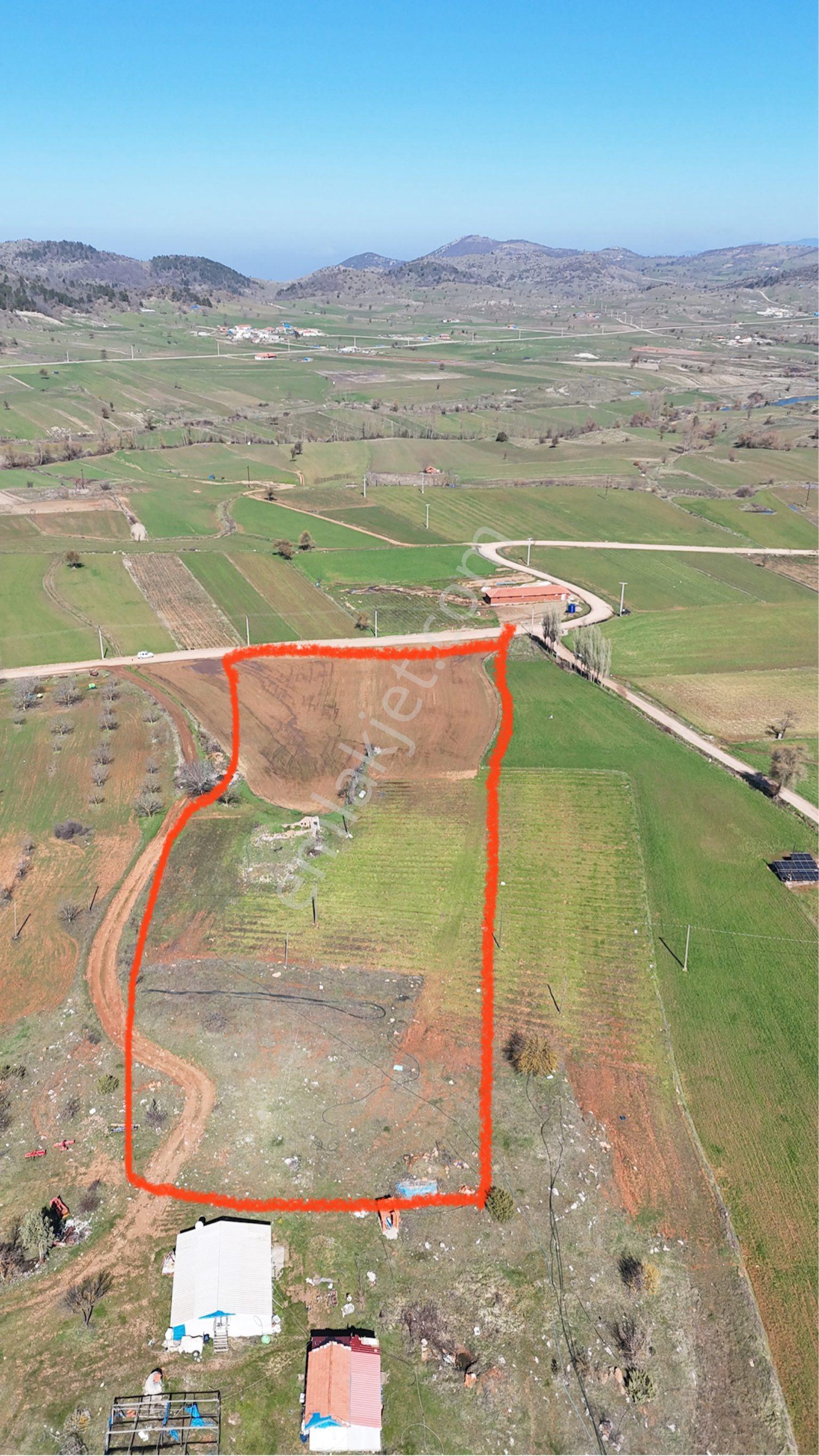 Sındırgı Yüreğil Mah Satılık Fırsat Arsa 10.170 M2 - Görsel 4