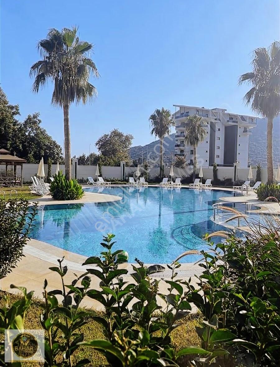 Denıze 100 Metre Üniversite Bölgesi Kıraya Verirken Ve Satarken