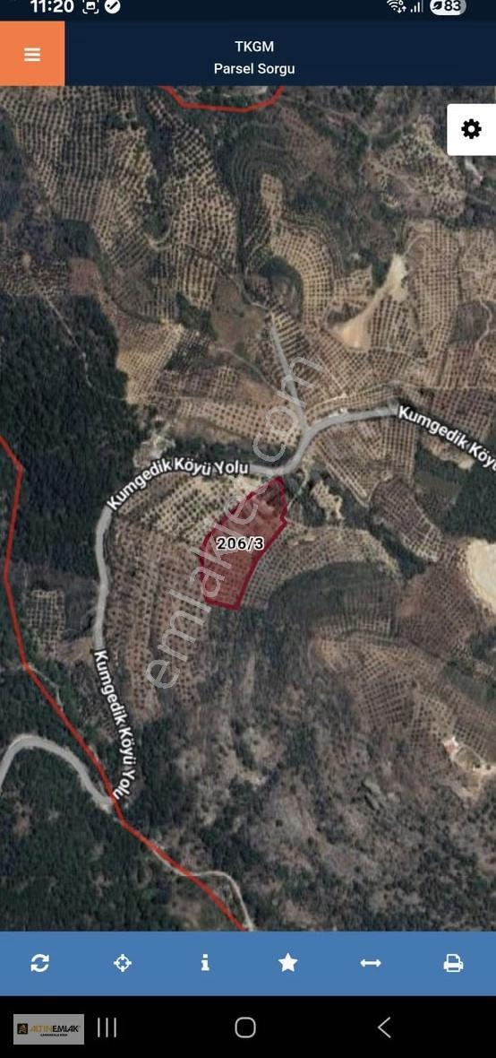 Gömeç Kumgedikte | Yola Cepheli | Müstakil Tapulu 11.972 M² - Görsel 3