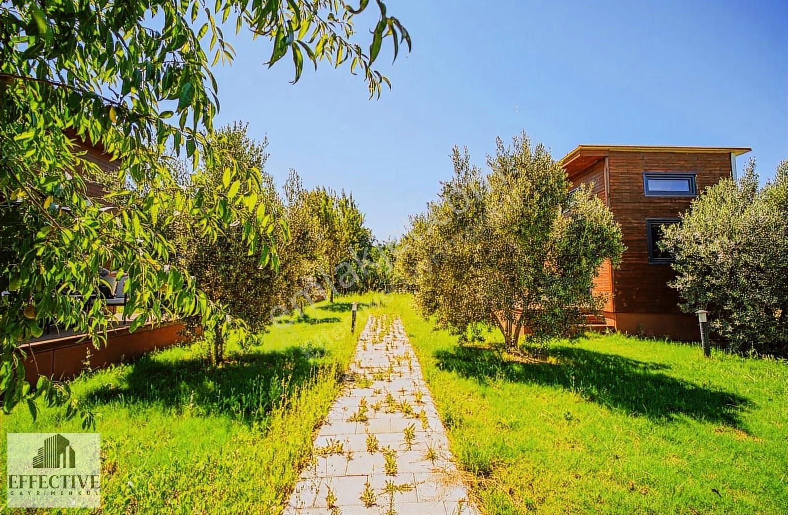 Antalya Aksu Boztepe 2.189 M² Alan İçinde Satılık Bungalov+tarla - Görsel 8