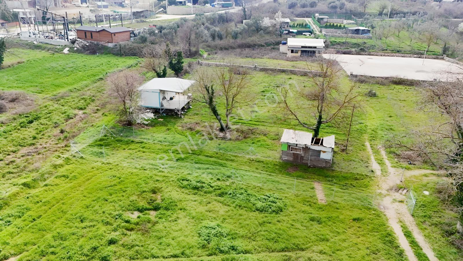 Alven Real Estate Kayapa/zafer De 244m² Yatırımlık Bahçe - Görsel 17