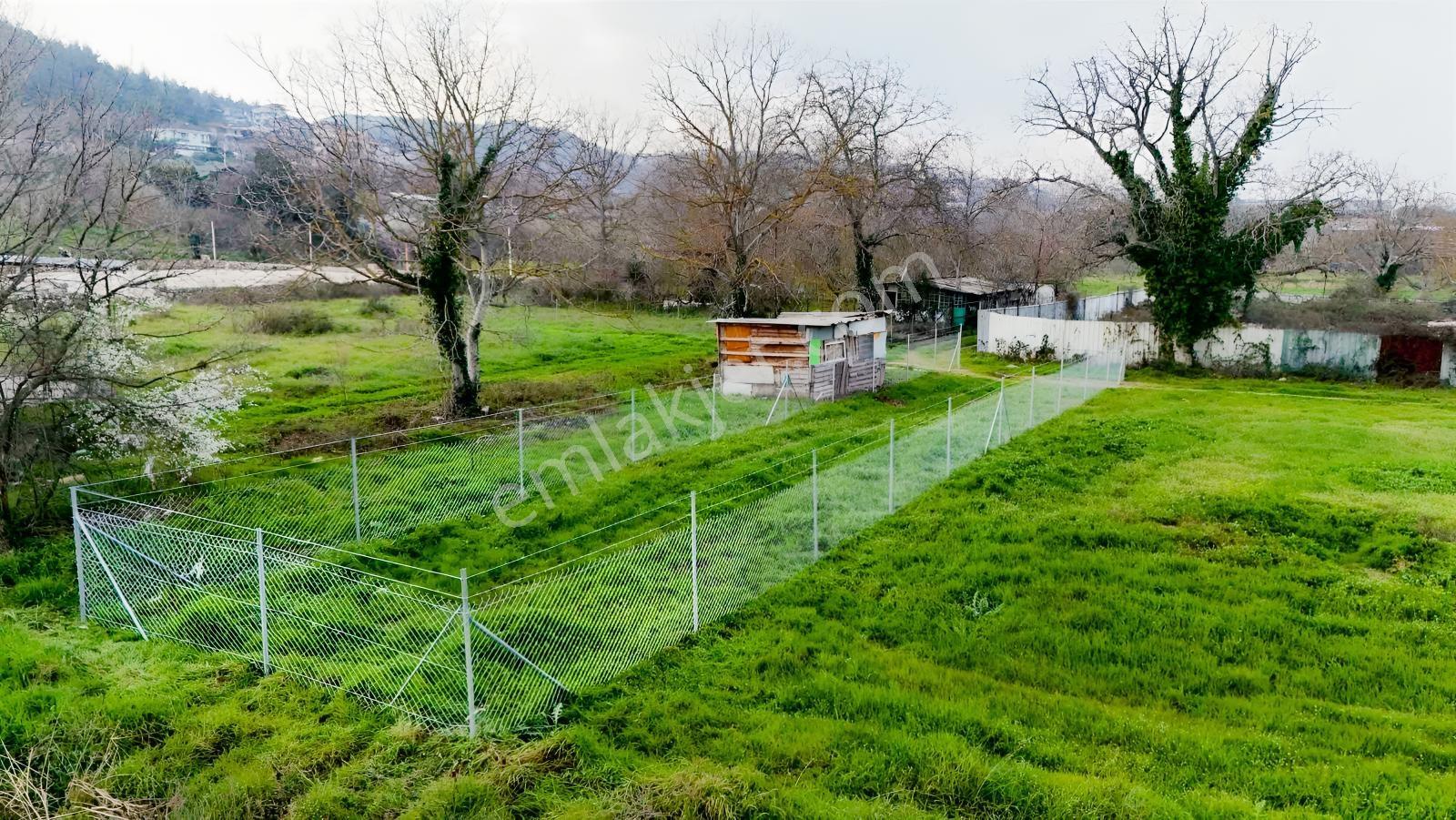 Alven Real Estate Kayapa/zafer De 244m² Yatırımlık Bahçe