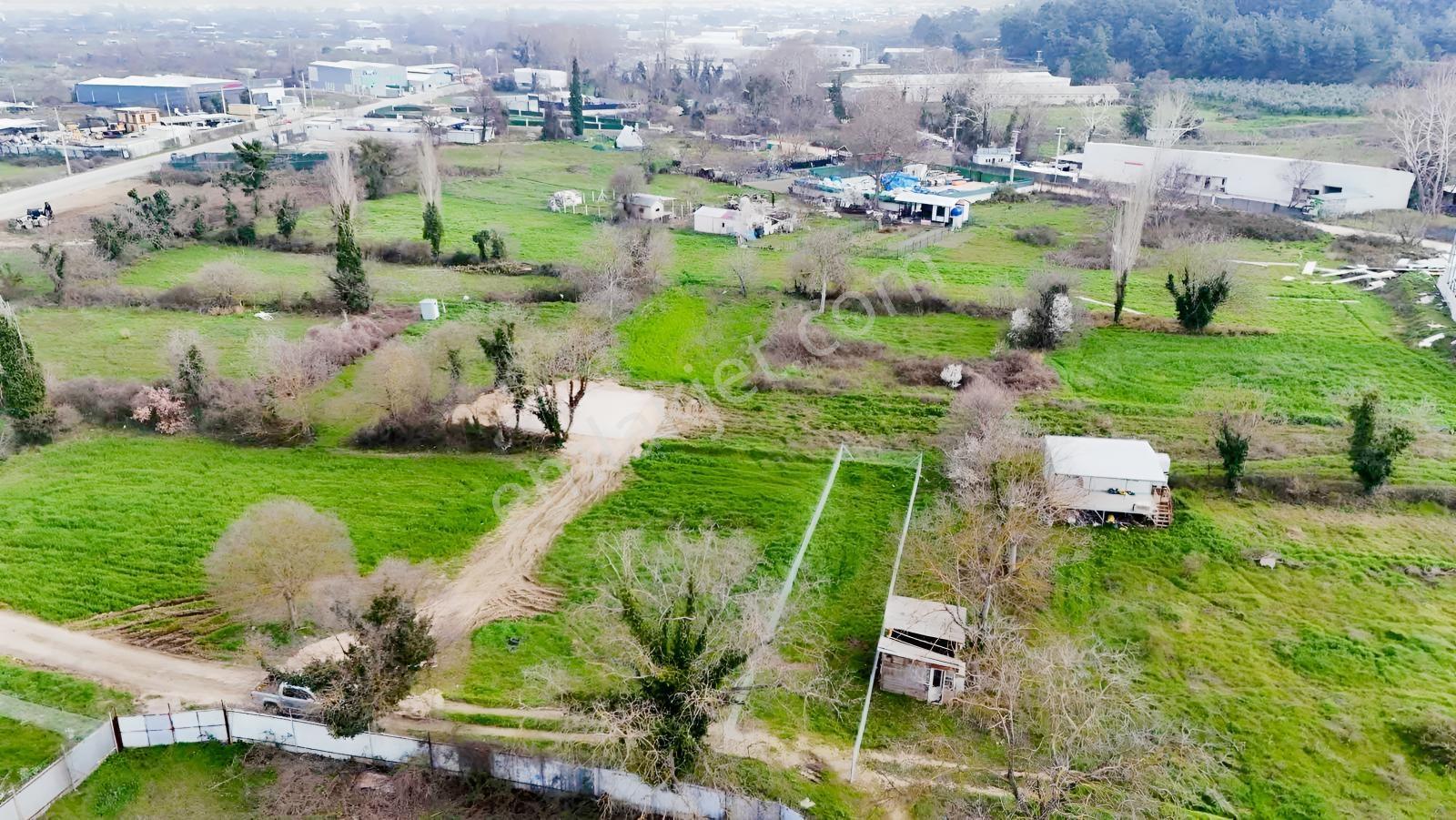Alven Real Estate Kayapa/zafer De 244m² Yatırımlık Bahçe - Görsel 15