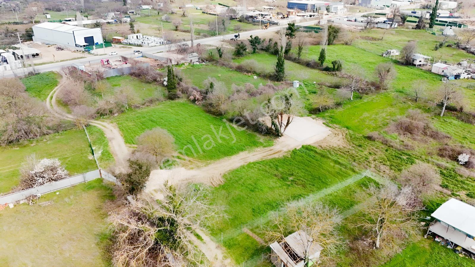 Alven Real Estate Kayapa/zafer De 244m² Yatırımlık Bahçe - Görsel 22