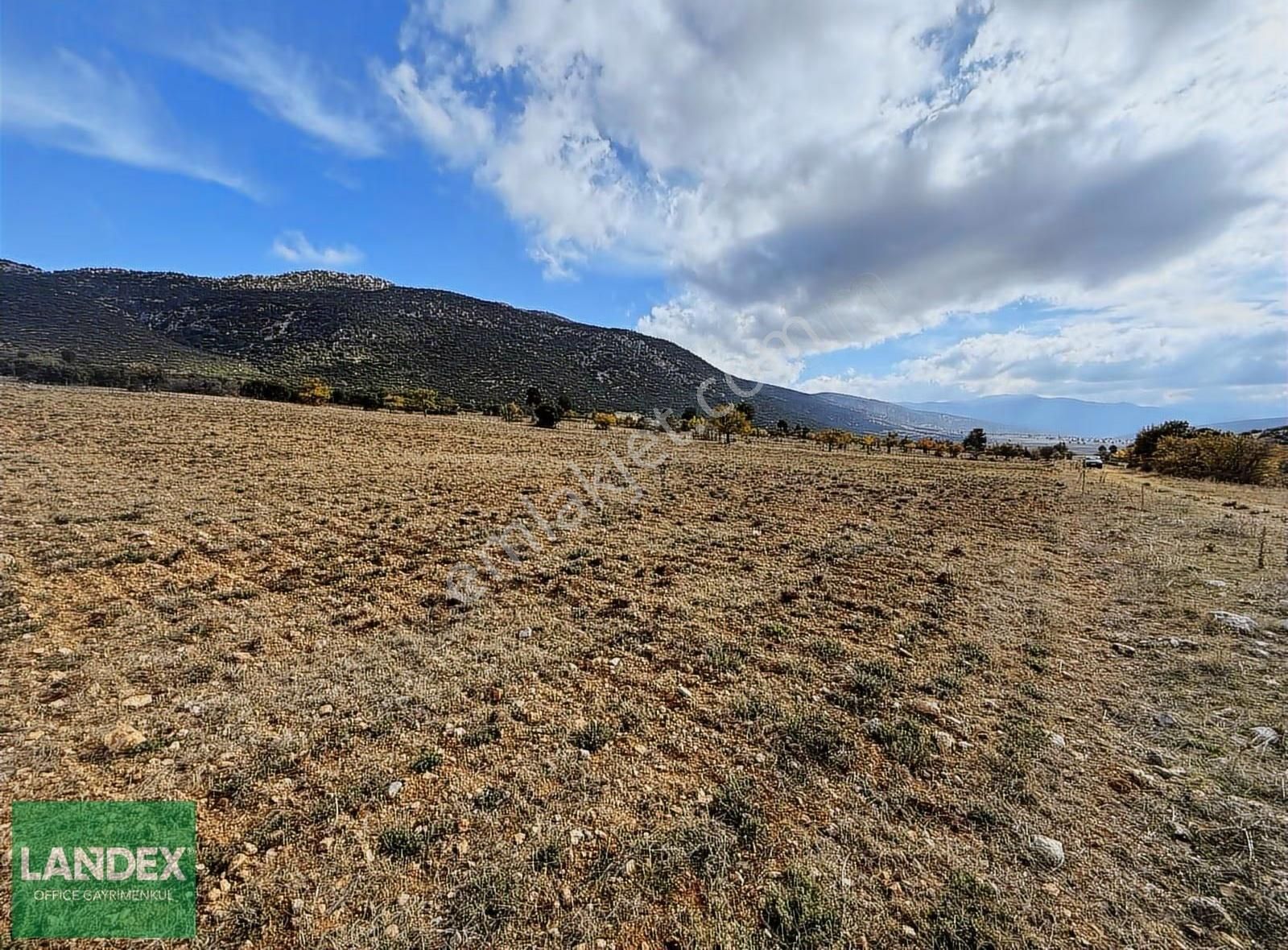 Landex`ten Tavas Ovacık'ta Fırsat! 7.237 M² Tarla