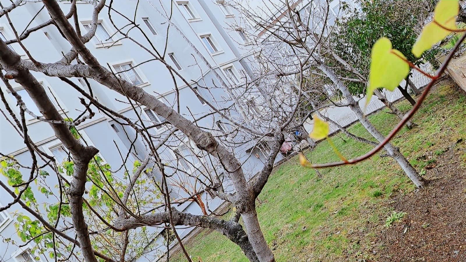 Harika Konumda - Görsel 2