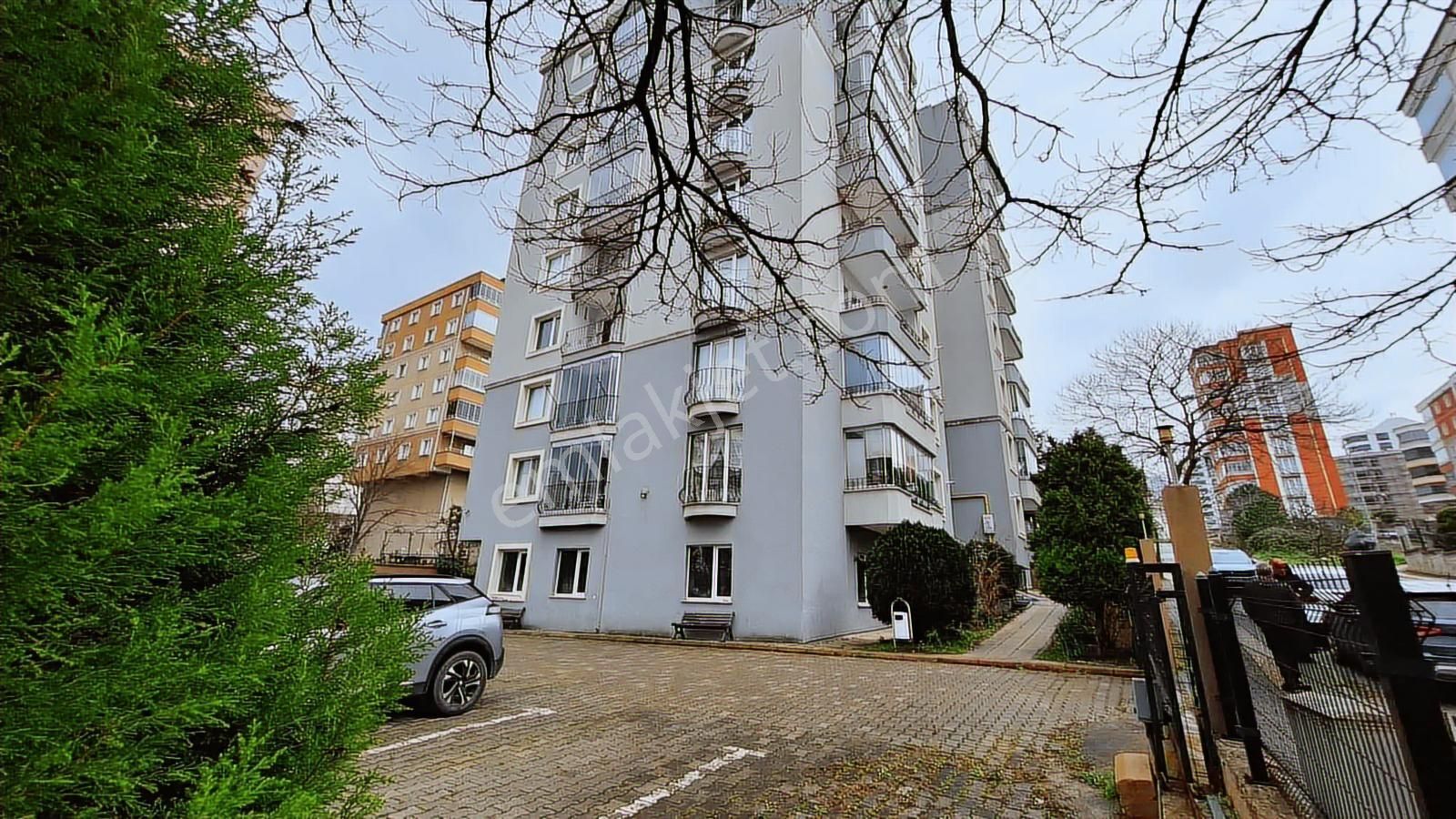 Harika Konumda - Görsel 34