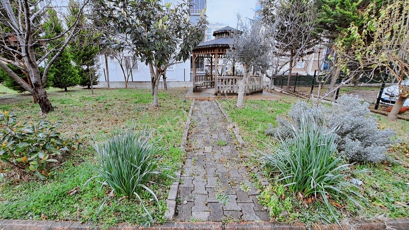 Harika Konumda - Görsel 29