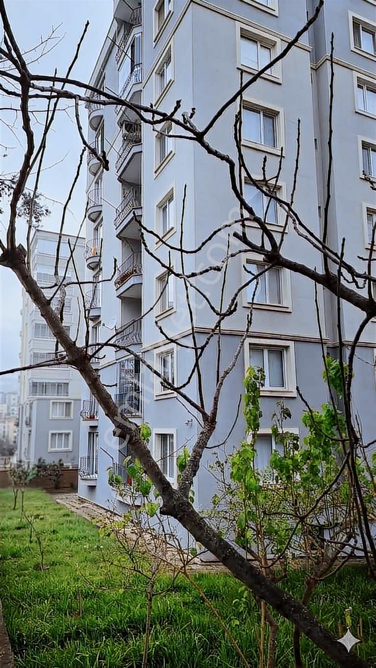 Harika Konumda - Görsel 33