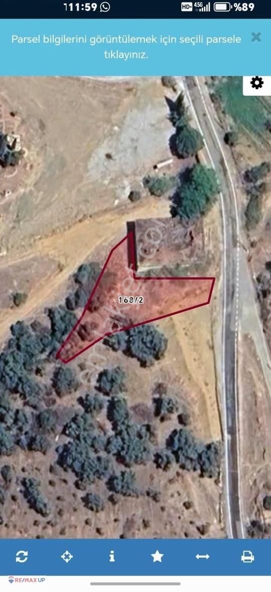 Bayındır Alanköyde Ana Yola Cepheli 683 M² Zeytinlik - Görsel 5