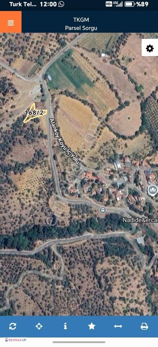 Bayındır Alanköyde Ana Yola Cepheli 683 M² Zeytinlik - Görsel 4