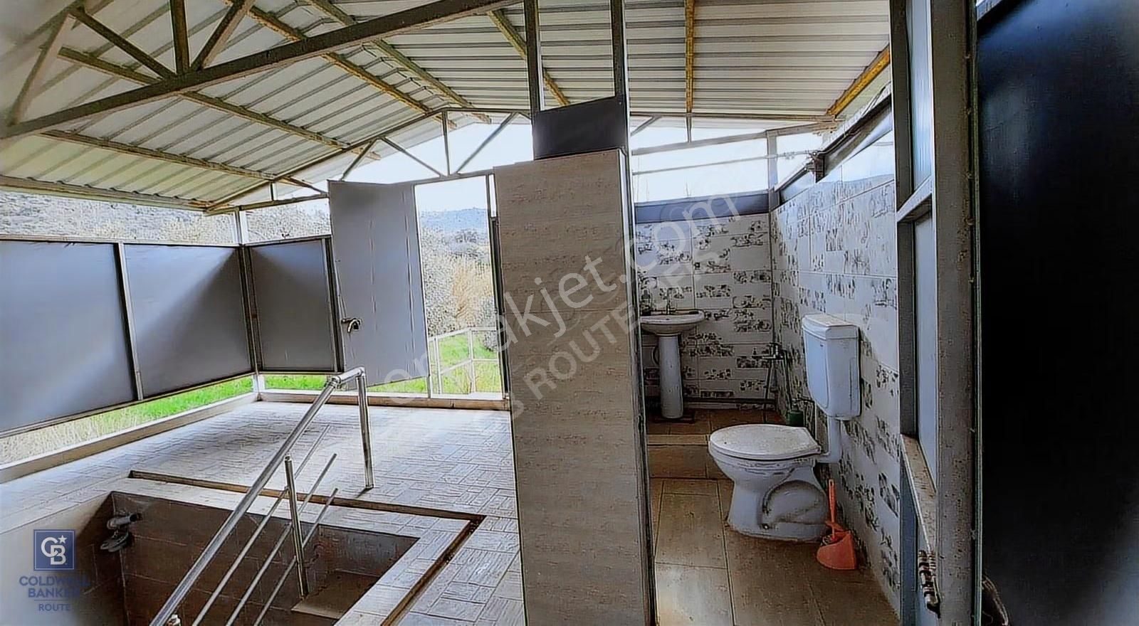 Cb İzmir Dikili Nebiler Mahallesi'nde Satılık Zeytinlik - Görsel 10