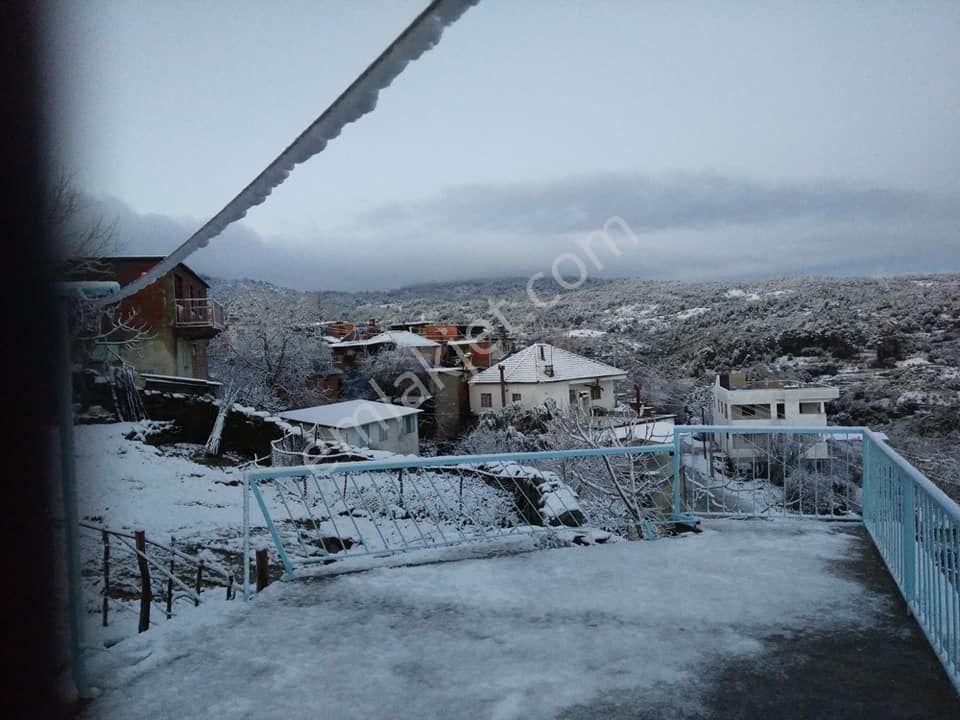 Karpuzlu Meriçler Köyünde 8885 M2 Satılık Zeytinlik