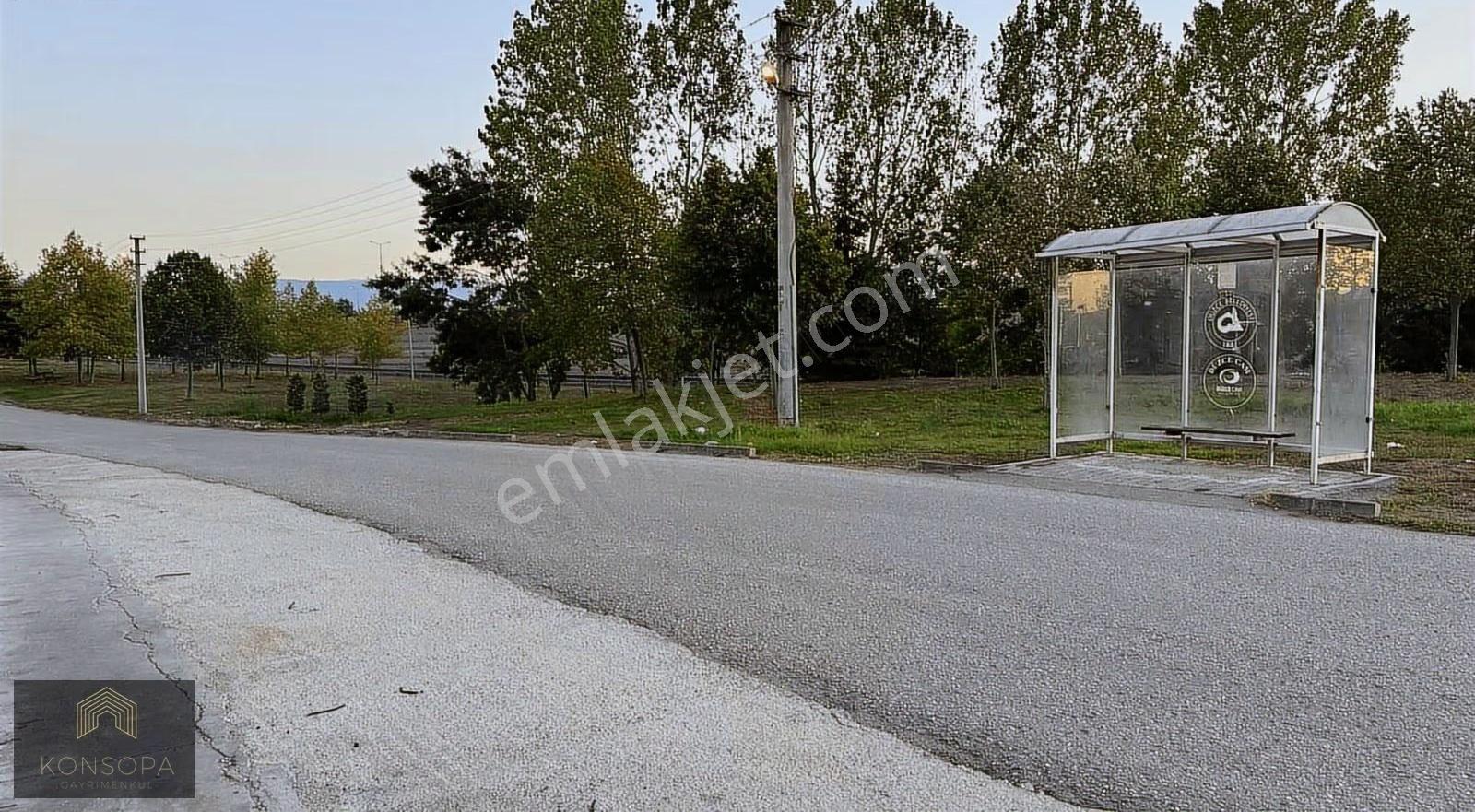 Kiralık 2+1 Ebeveyn Banyolu - Görsel 26