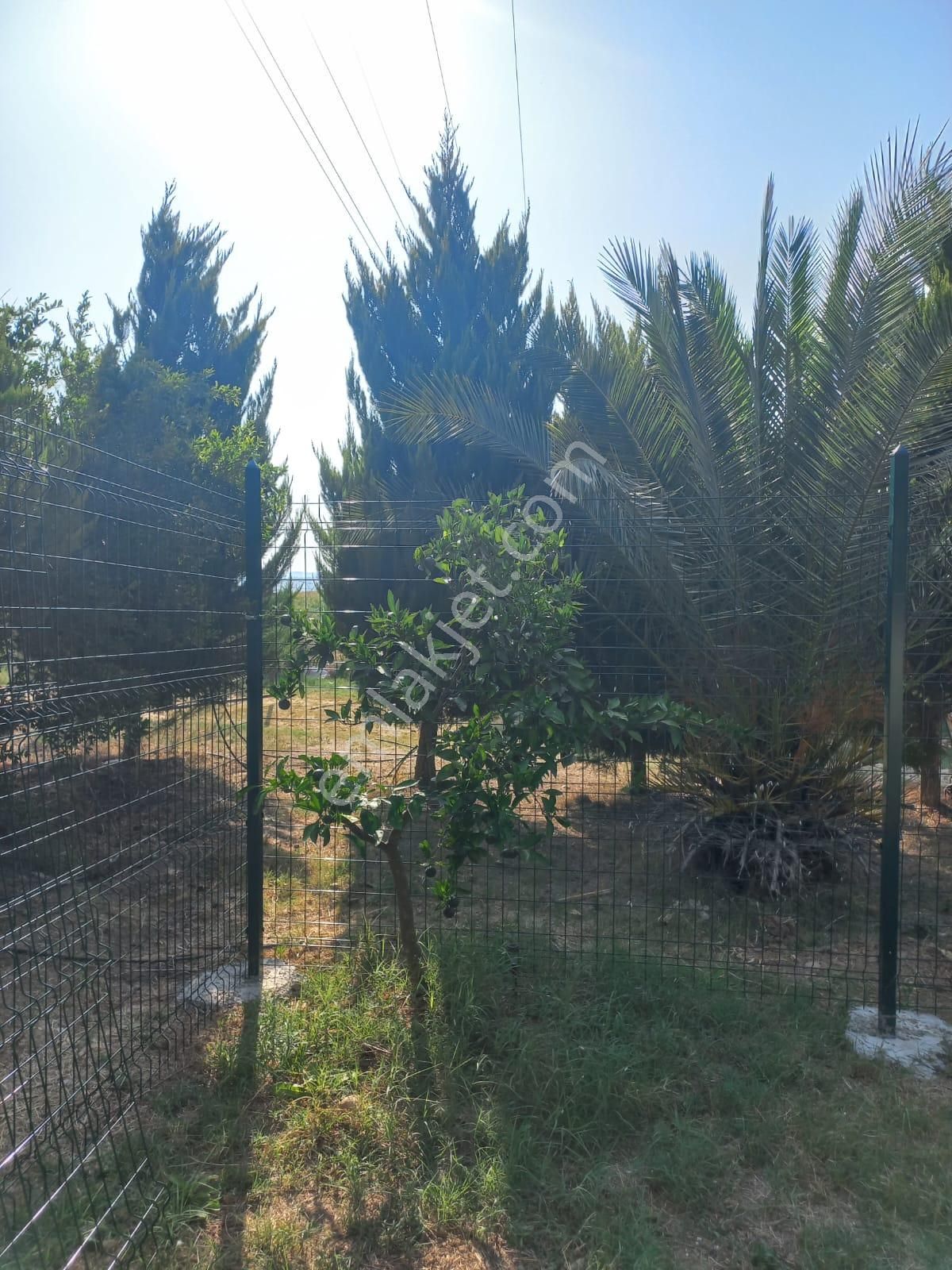 Yok Bu Fiyata Sarıçam Karaömerli Göl Manzaralı 10dönüm İçinde 1+1daire Var Takas Olur - Görsel 19