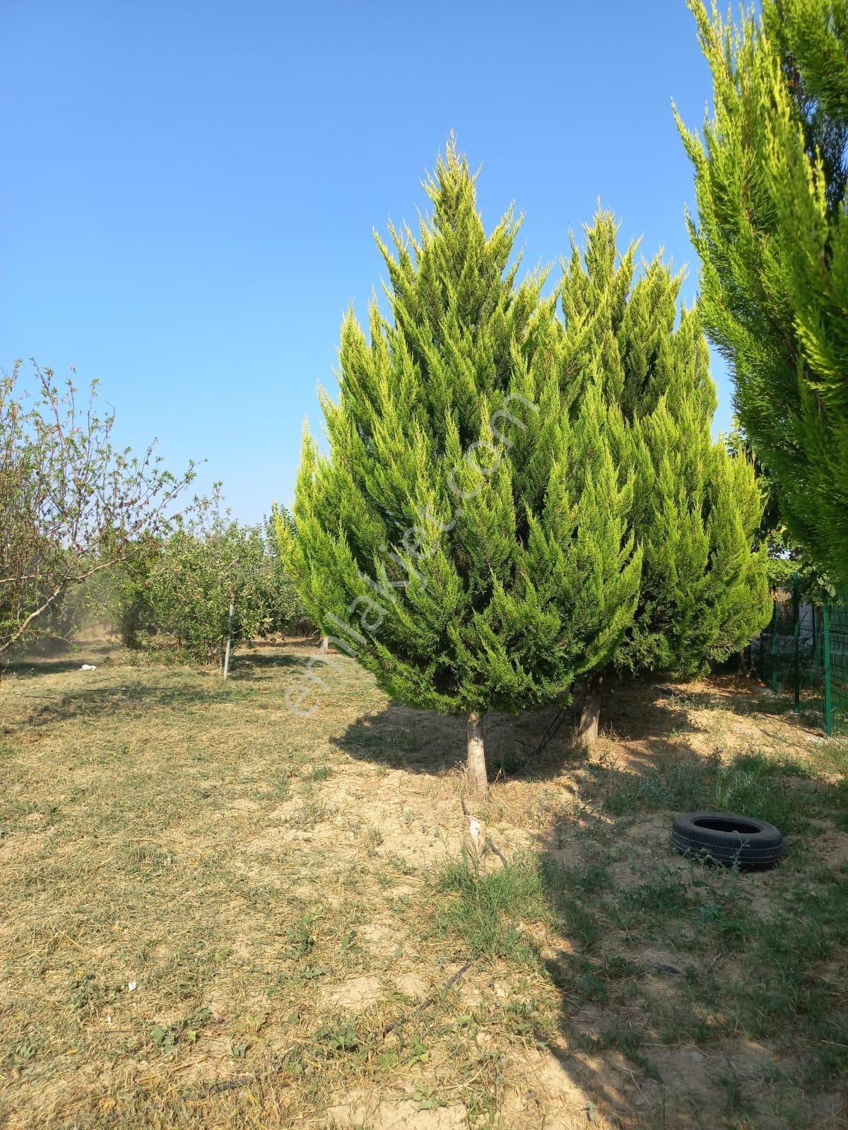 Yok Bu Fiyata Sarıçam Karaömerli Göl Manzaralı 10dönüm İçinde 1+1daire Var Takas Olur - Görsel 4
