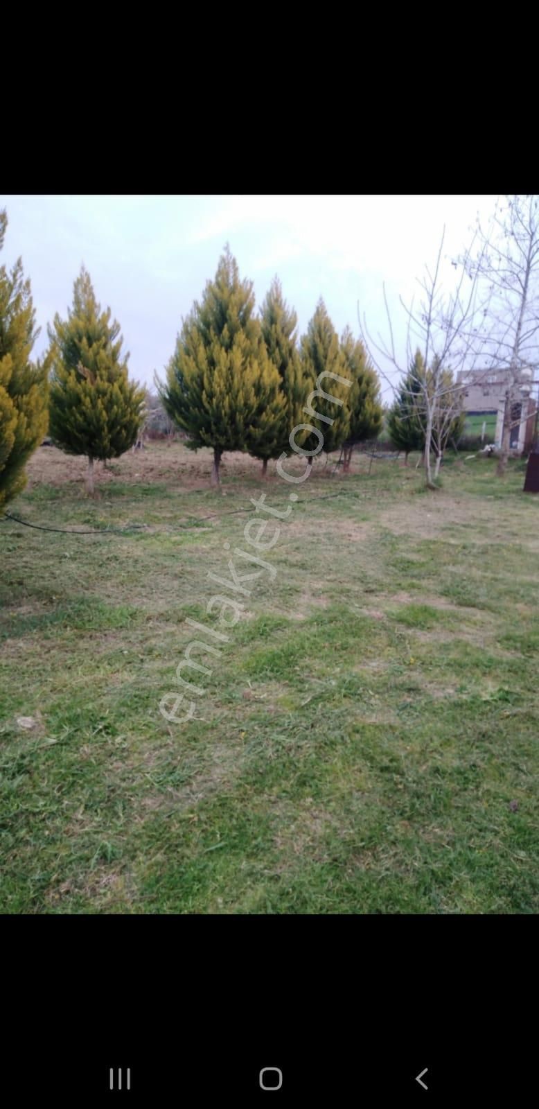 Yok Bu Fiyata Sarıçam Karaömerli Göl Manzaralı 10dönüm İçinde 1+1daire Var Takas Olur - Görsel 13