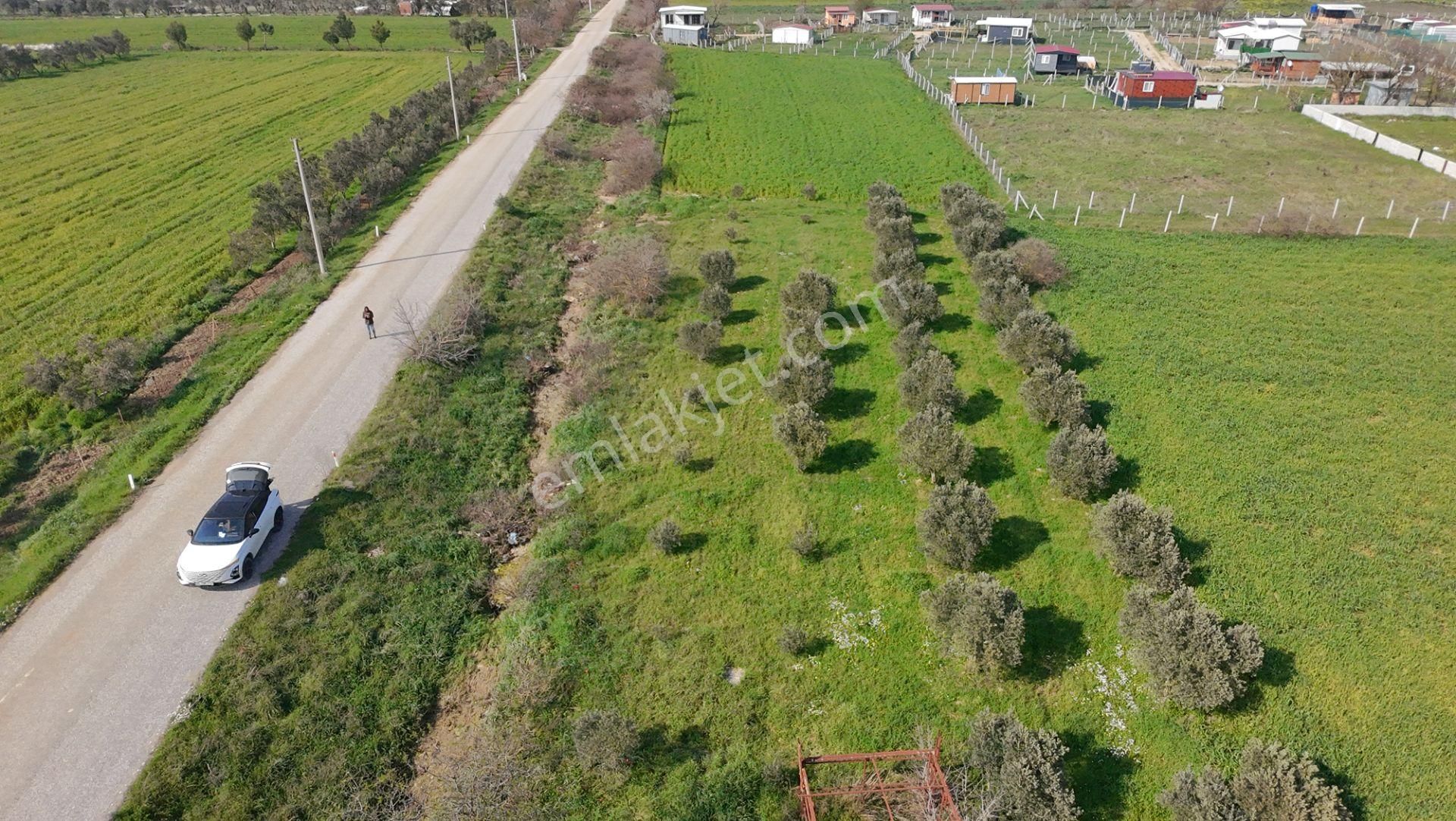 Menderes Değirmenderede Anayola 170 M Cepheli 4.500 M² Tek Tapu - Görsel 6