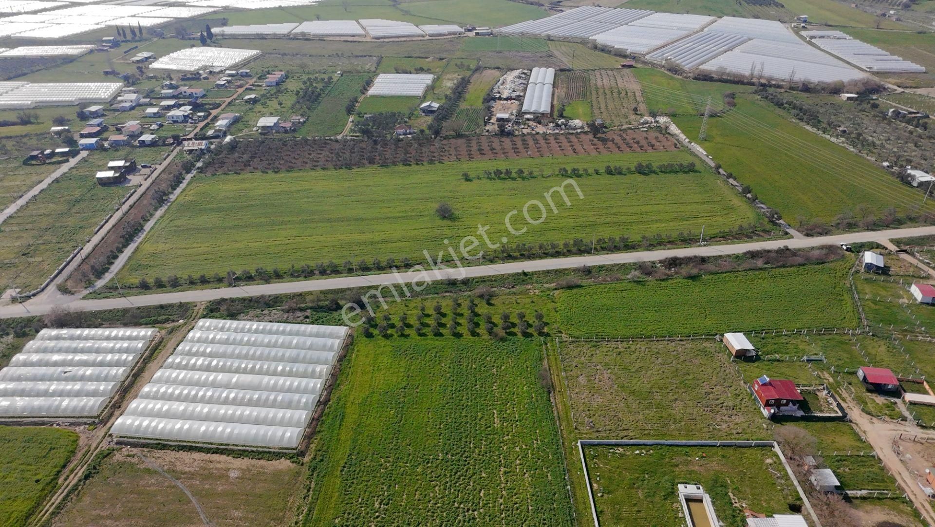 Menderes Değirmenderede Anayola 170 M Cepheli 4.500 M² Tek Tapu - Görsel 16