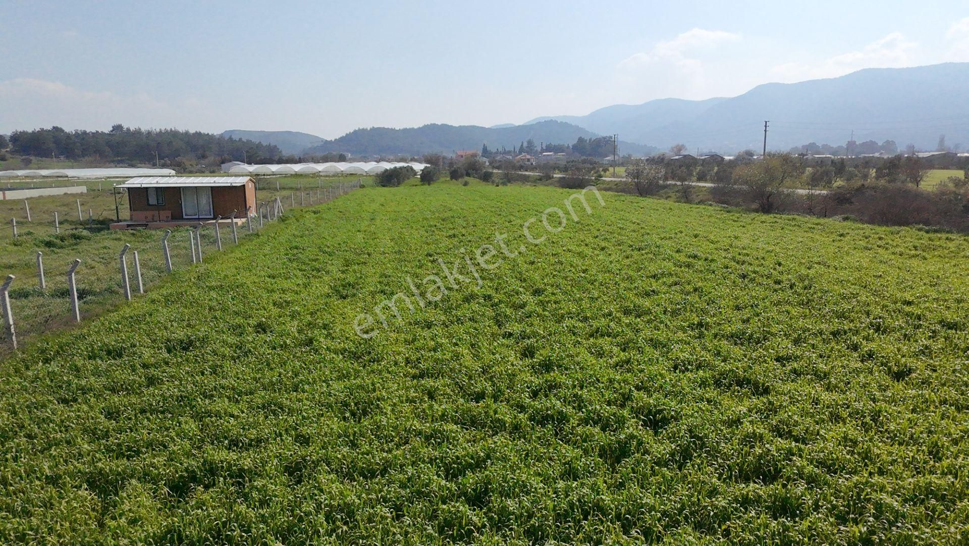 Menderes Değirmenderede Anayola 170 M Cepheli 4.500 M² Tek Tapu - Görsel 9