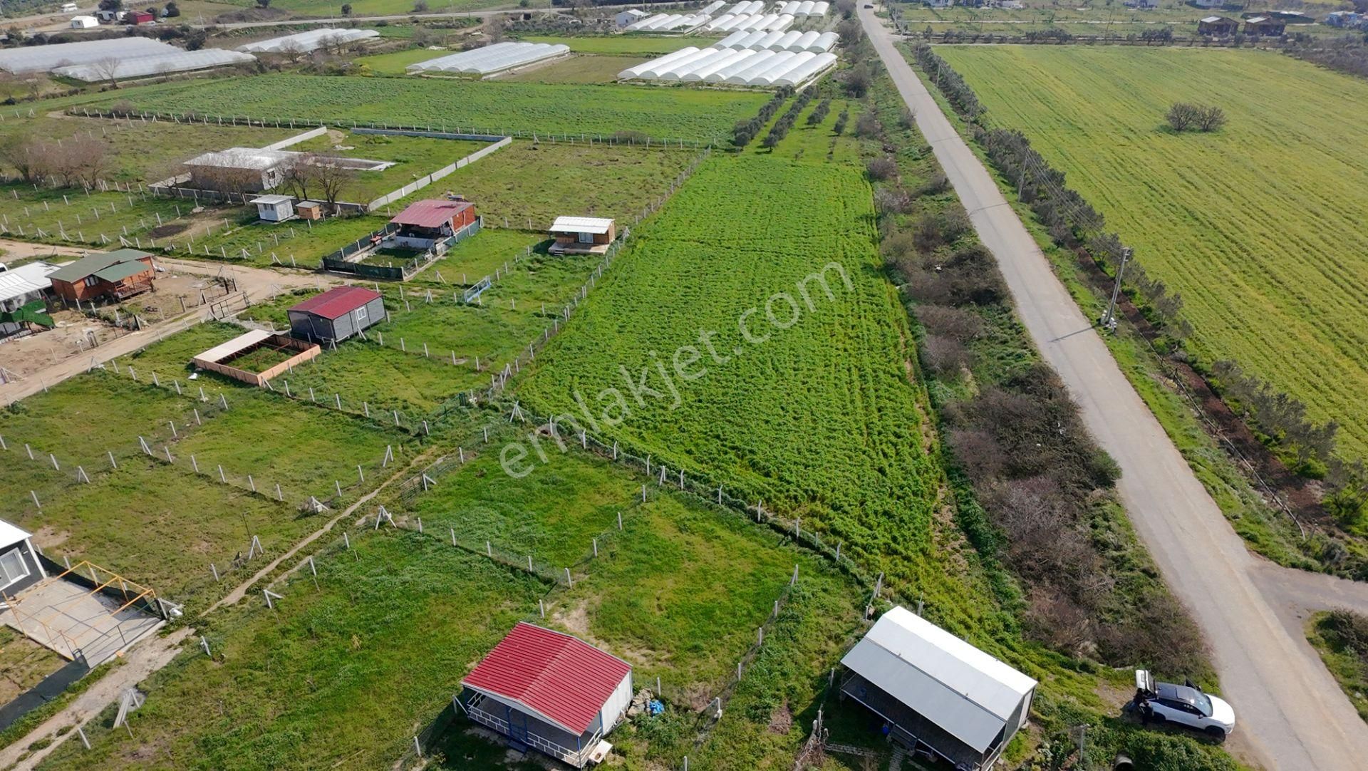 Menderes Değirmenderede Anayola 170 M Cepheli 4.500 M² Tek Tapu - Görsel 12