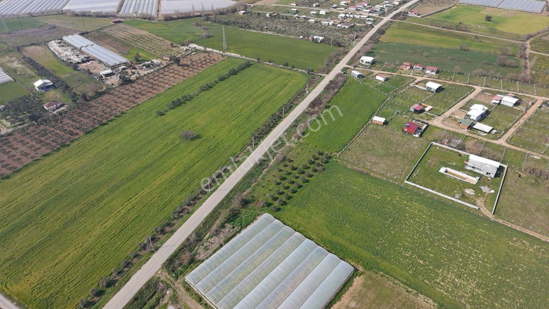 Menderes Değirmenderede Anayola 170 M Cepheli 4.500 M² Tek Tapu - Görsel 24