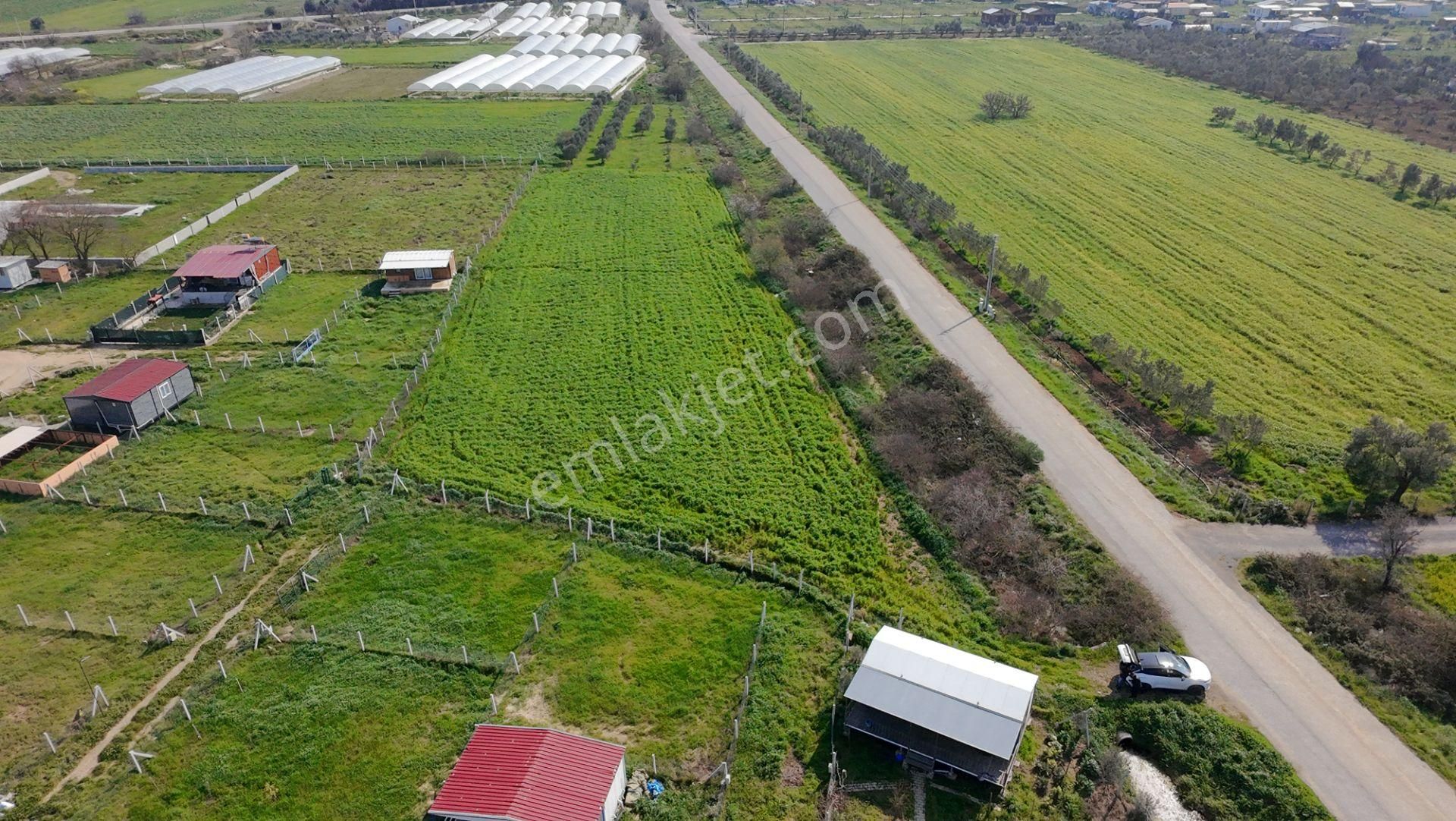 Menderes Değirmenderede Anayola 170 M Cepheli 4.500 M² Tek Tapu - Görsel 20