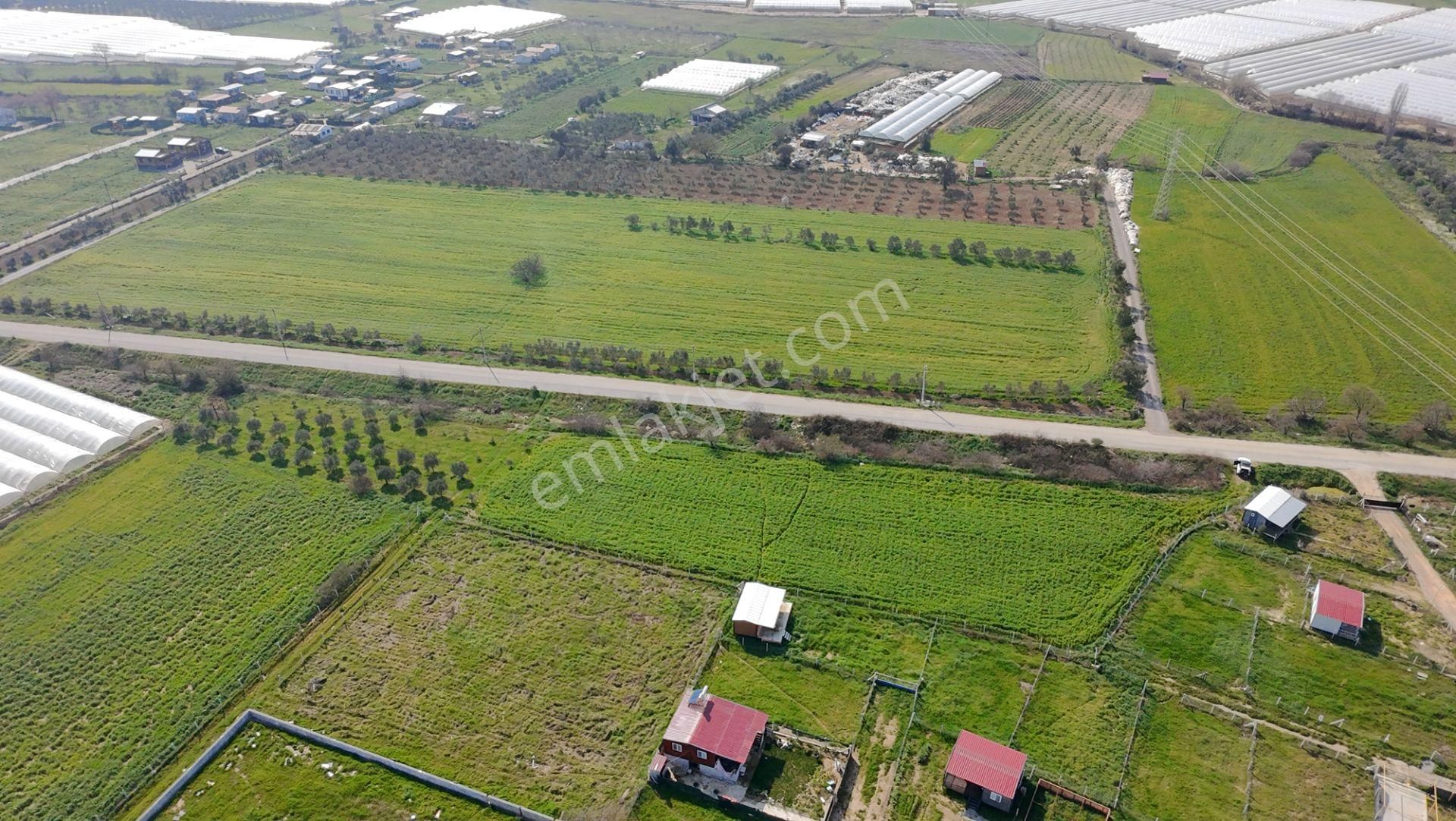 Menderes Değirmenderede Anayola 170 M Cepheli 4.500 M² Tek Tapu - Görsel 15