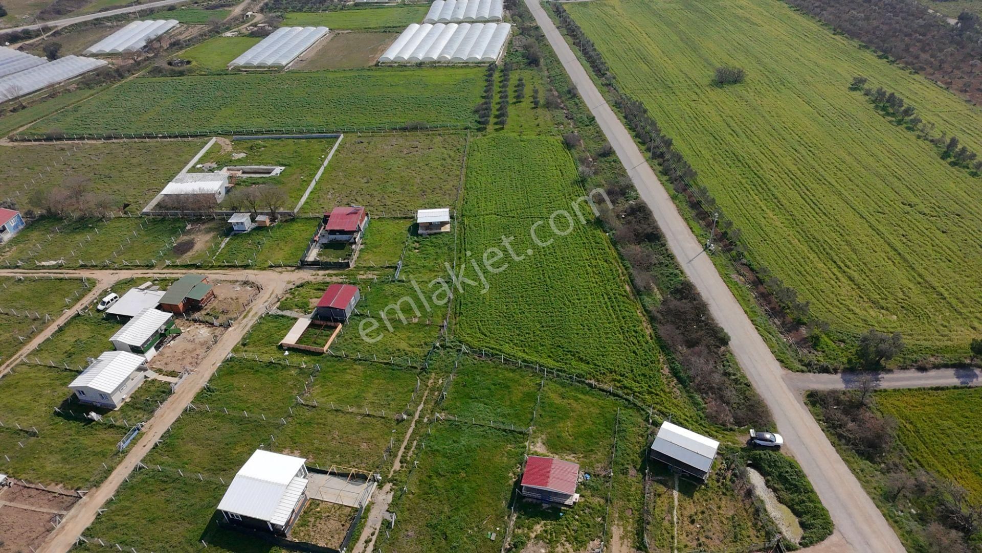 Menderes Değirmenderede Anayola 170 M Cepheli 4.500 M² Tek Tapu - Görsel 19